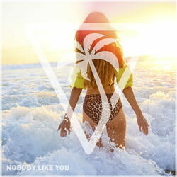 Nobody Like You