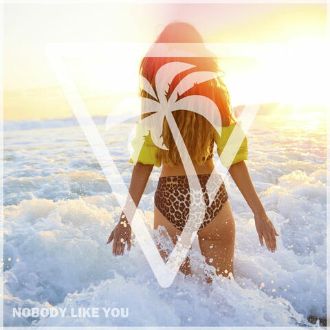Nobody Like You