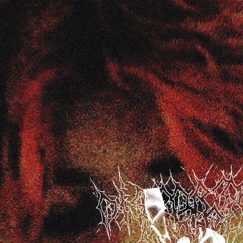 Distorted Angel