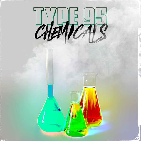 Type 95 Beats