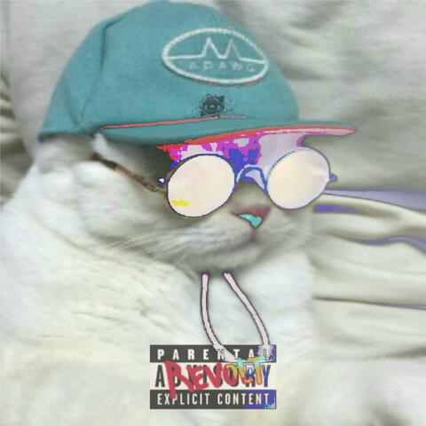 Chill Bill the Cool Cat