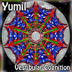 Vestibular Cognition