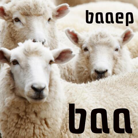 BaaEP