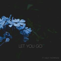 Let You Go (feat. Kaley Thompson)