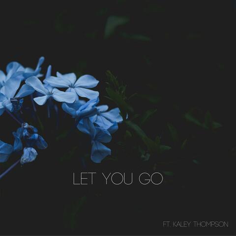 Let You Go (feat. Kaley Thompson)