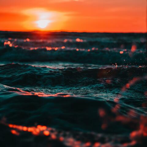 Rise