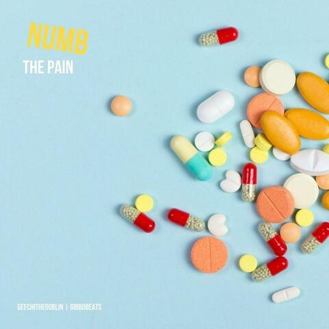Numb The Pain