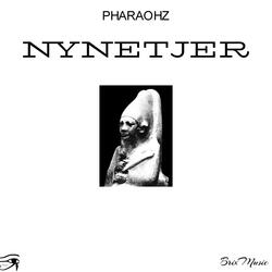 Nynetjer