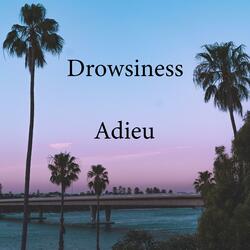 Adieu