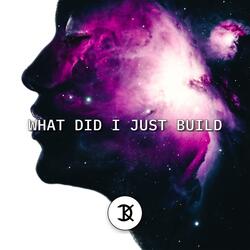 What Did I Just Build