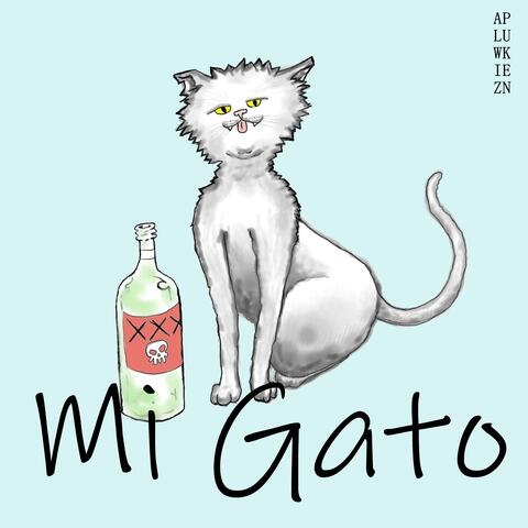 Mi Gato