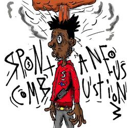 Spontaneous Combustion 3