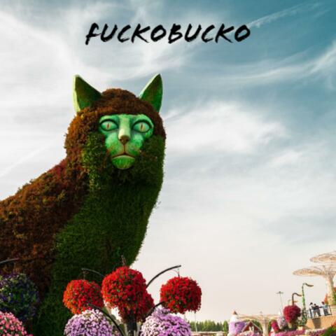 fuckobucko