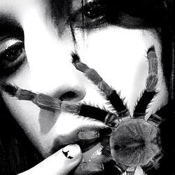 Phobia