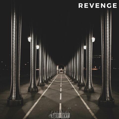 Revenge