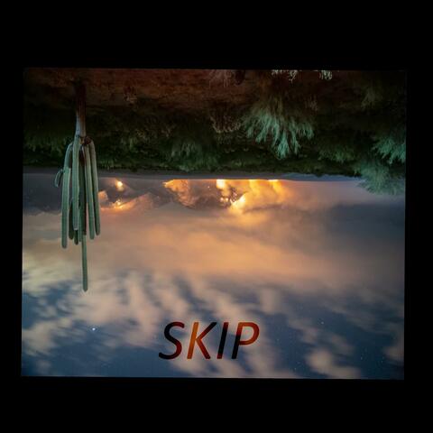 Skip
