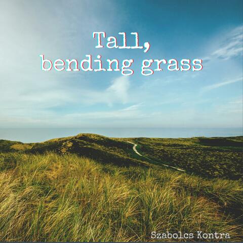 Tall, bending grass