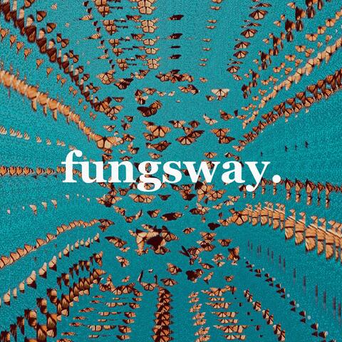 FUNGSWAY.