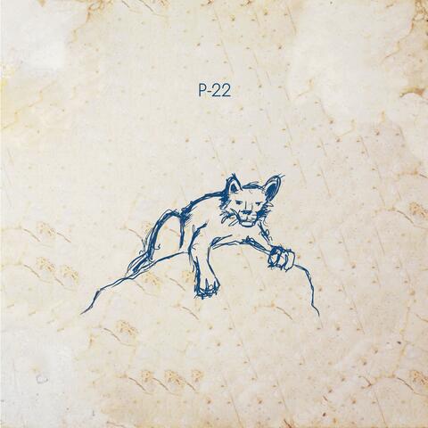 P-22