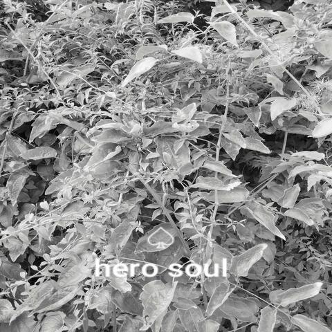 Hero Soul