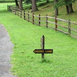 Cherry Lane