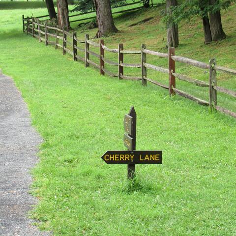 Cherry Lane