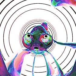 Someone Drank The Goldfish