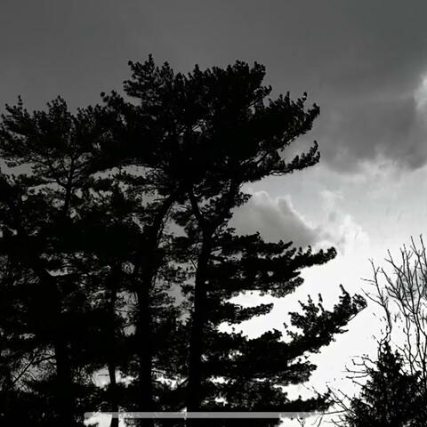 LoFi Stormy Day with Wind and Rain Sounds