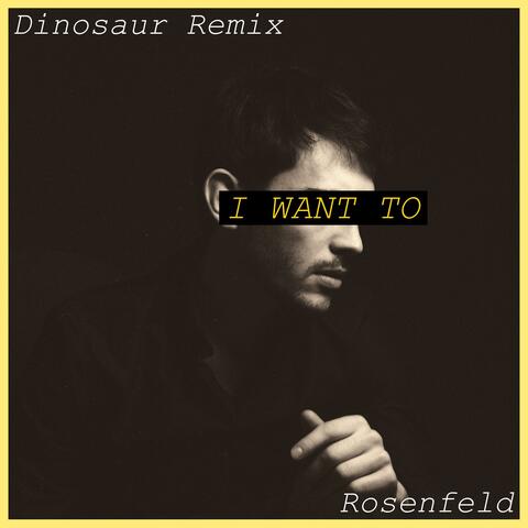 I Want To (Remix)