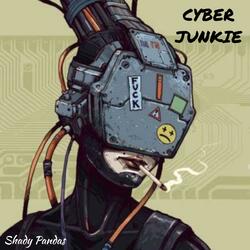 Cyber Junkie