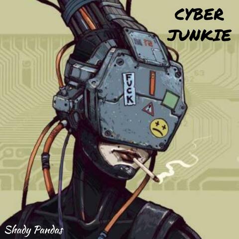 Cyber Junkie