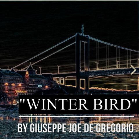 WINTER BIRD