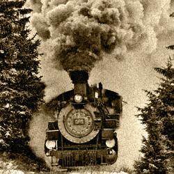 Frozen Train