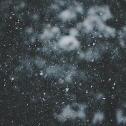 Stay