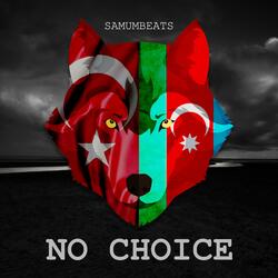 No Choice (Karabakh is Azerbaijan)