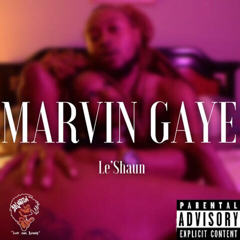 Marvin Gaye