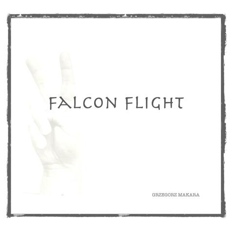 Falcon Flight
