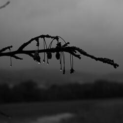 Rewire