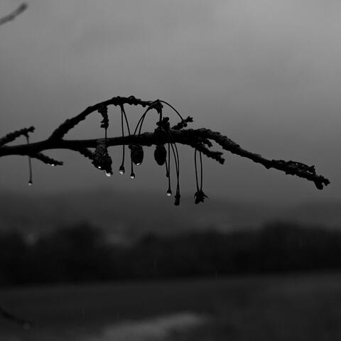 Rewire