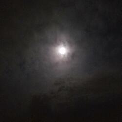 Bringing Out Everything