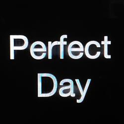 Perfect Day