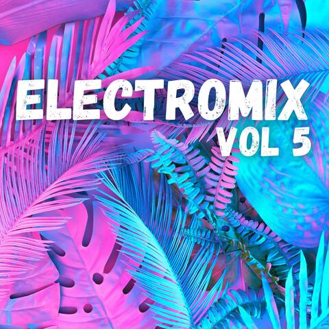 Electromix Vol 5