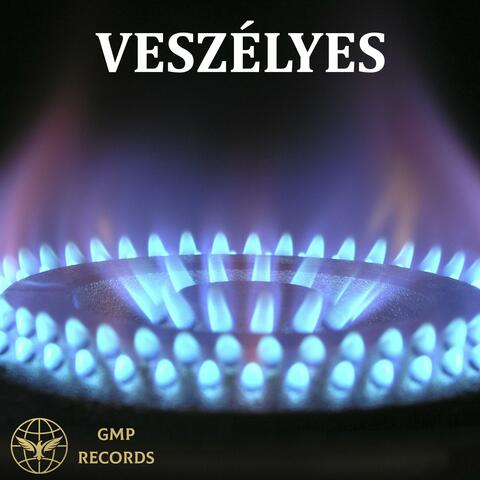 Veszélyes