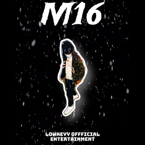 M16
