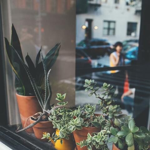 Afternoon in Soho