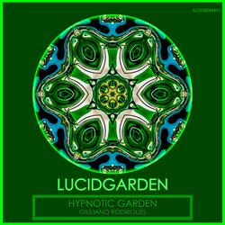 Hypnotic Garden
