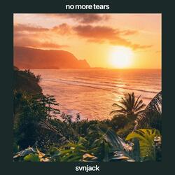 no more tears