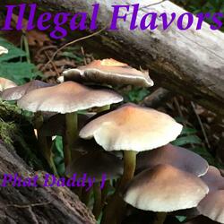 Illegal Flavors