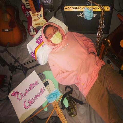The Quarantine Chronicles