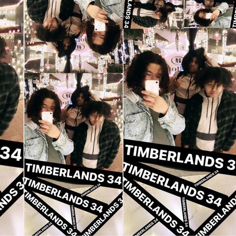 TIMBERLANDS 34